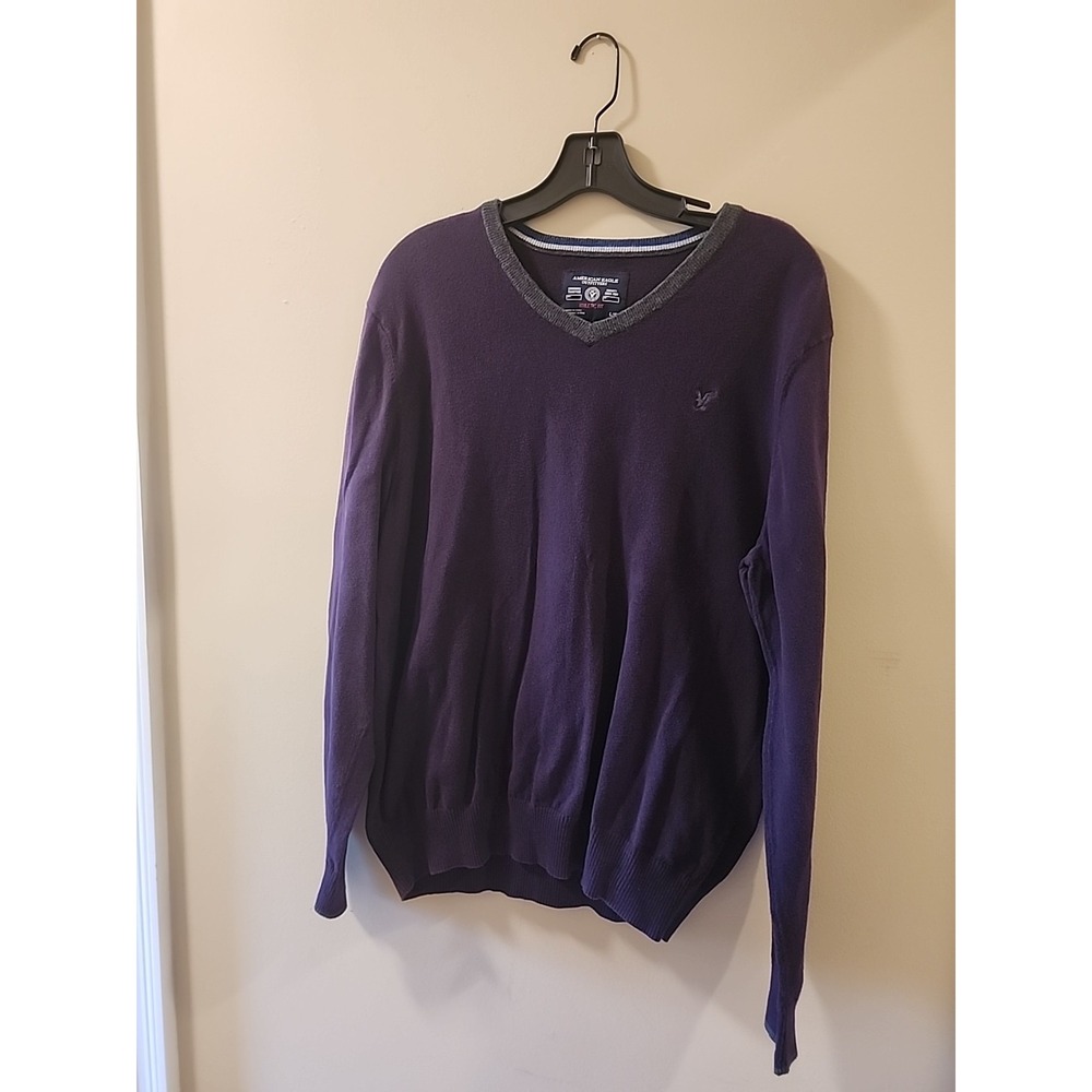 American Eagle Outfitters Sweater Mens Large Dark Purple Long Sleeve V Neck Knit
